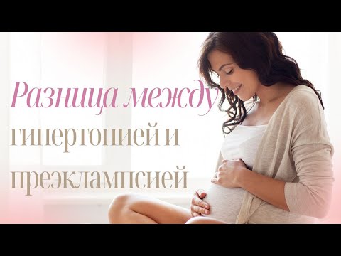 Рахница между гипертонией и преэклампсией #доказательнаямедицина #doctorberezovska #преэклампсия