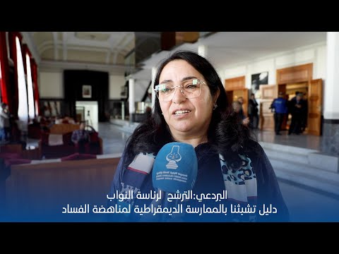 البردعي..الترشح لرئاسة النواب دليل تشبثنا بالممارسة الديمقراطية لمناهضة الفساد