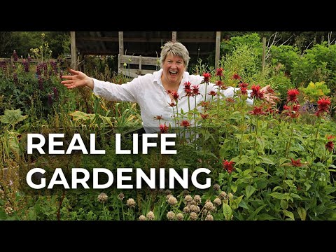Vegetable Garden Tour (June 2025) | Organic Permaculture Gardening
