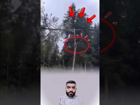 المخاطر تحيط بهم… ولكنهم مستمرون #youtubeshorts