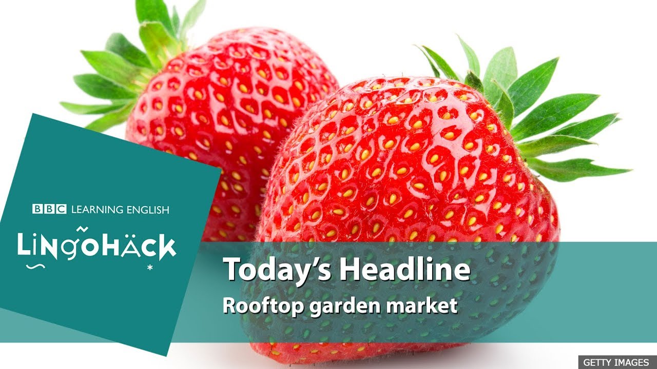 Today's words and phrases: freshest, going green, pesticides, harvested, horticulture