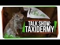 Taxidermy and Parrot Behavior