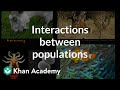 Species Interactions and Relationships