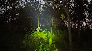 MISTERI POHON KERAMAT MENANGIS D4RAH