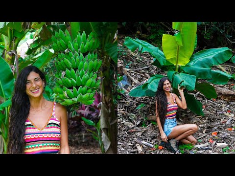 Planting 100+ Banana Palms 🍌🌴🐒 Before & After Property Transformation 🌱 Raw Vegan Living in Hawaii 🌺