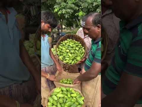 Kolkata’s MASSIVE Wholesale PARWAL Market in West Bengal