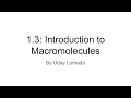 Biological Molecules and Their Functions