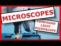 Microscope Functionality and Magnification