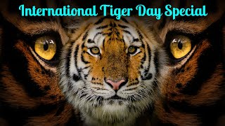 International Tiger Day Special 🐅 | Save Tigers, Save Nature
