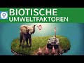 biotische-umweltfaktoren/