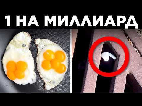 Люди, Которым Невероятно Повезло