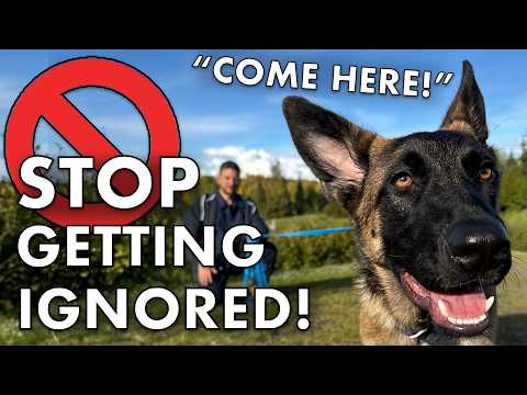 How To Train ANY Dog to ALWAYS Come — No Matter the Distraction