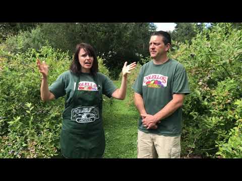 Colello S Kitsap Bank Edg3 Fund Video