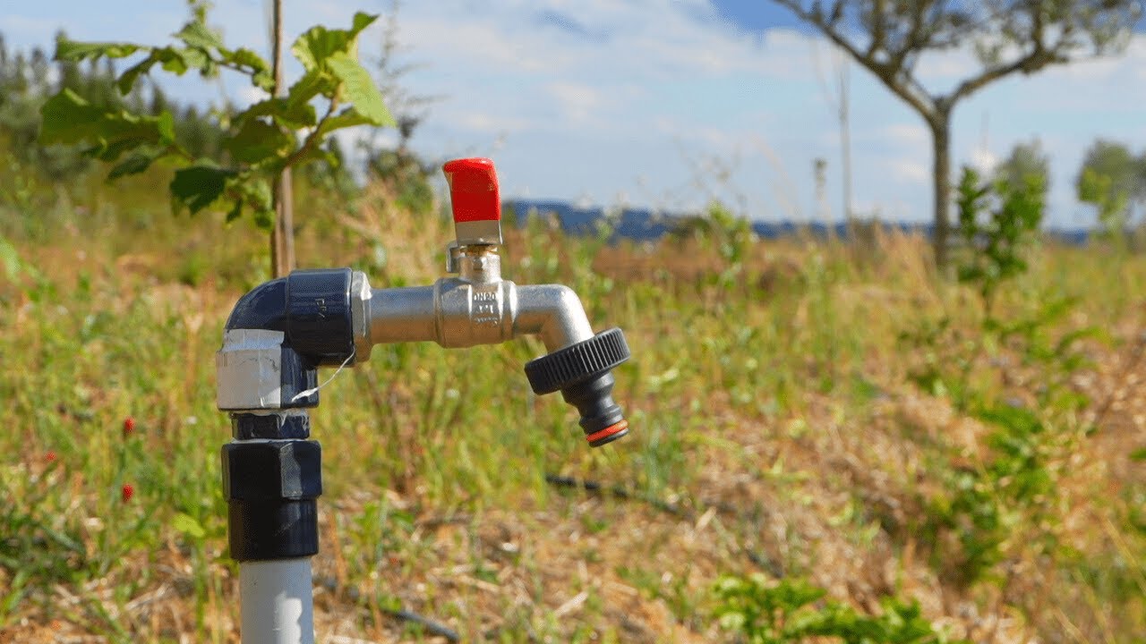 Installing Irrigation & Running Water On Off Grid Land