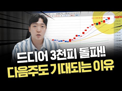 역대급 거래대금 단타도 난리났다｜다음주 순환매 후보 정리｜이슈 및 시황