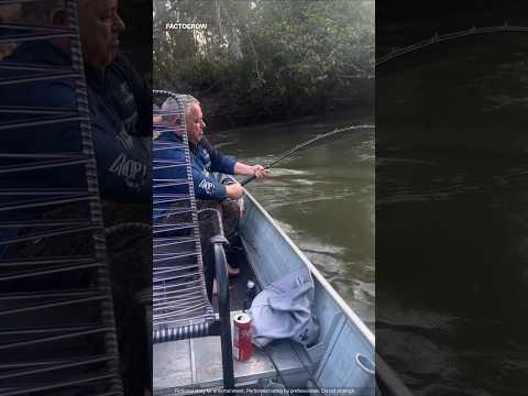 This Fish Almost Sank Their Boat