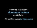 Exploring Latin Adjectives and Their Functions