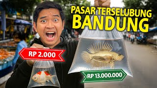 SIDAK HEWAN PALING MURAH DAN PALING MAHAL YANG ADA DI PASAR IKAN TERSELUBUNG BANDUNG! MURAH MERIAH!