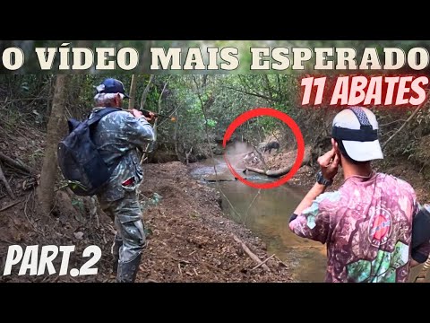 11 ABATES, UM TRABAHO PARA UMA GRANDE EQUIPE, PART.2 - CONTROLE DE JAVALI - JAVALI BRASIL