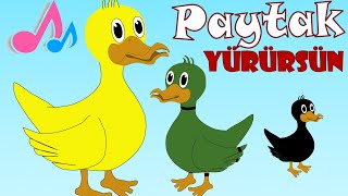 Paytak Paytak Yürürsün - Ördek Rondu | Çocuk Şarkıları 2025 | En Sevilen Çocuk ve Bebek Şarkıları