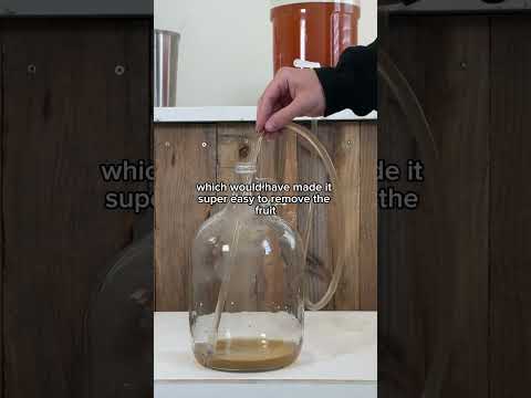PEACH PLUM MEAD UPDATE (BEST ONE YET)