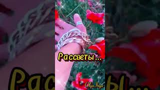 Доброе утро!!!☀️