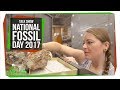 Fossils and Ancient Life Concepts