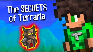 Uncovering a SECRET of Terraria's LORE!!