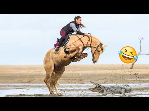 Best funniest horses of the week - Funny And Cute horses Video Compilation 2024 🐴#10