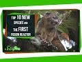 New Discoveries in Species and Energy