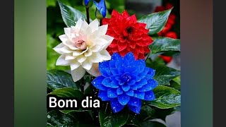 Lindas mensagem de bom dia feliz sábado 😘