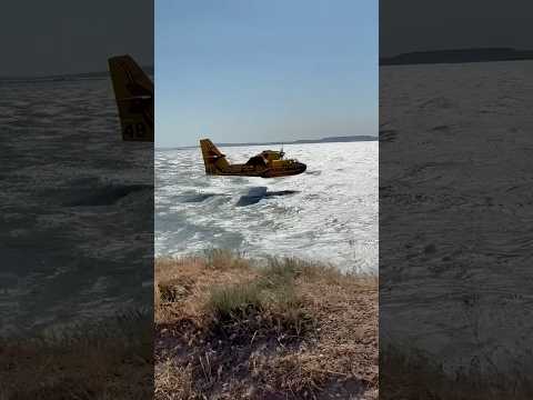 #bomberos #incendio #aviation #firefighter #wildfire #plane #canadair