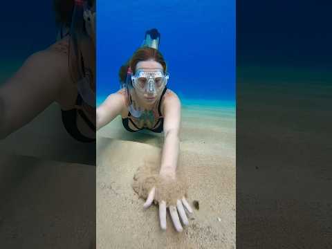 It’s like doing the wave thing with your hand out the car window but 100x better 😌🌊 #freediver