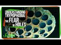 Understanding Trypophobia