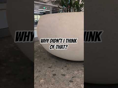 Growth Spurt #dragonball #goku #dbz