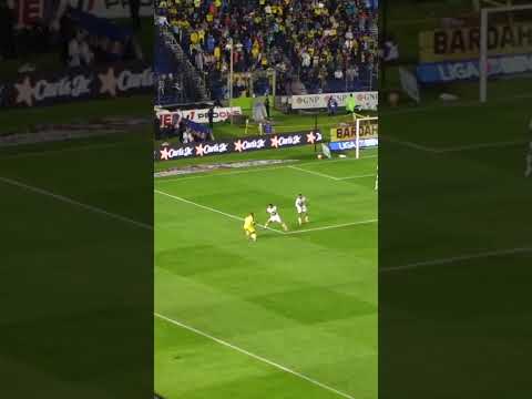 GOL DE MAXIMIN NUEVO PAPÁ DE PUMAS 🇨🇵🦅💥 #clubamerica #ligamx #pumas #futbolmexicano