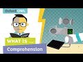 Exploring the Essentials of Reading Comprehension