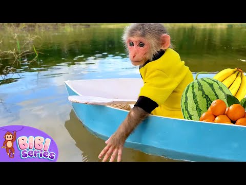 Farmer BiBi goes to harvest fruit for Amee Dog