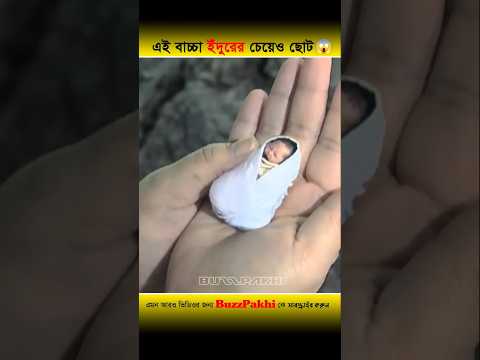 এই বাচ্চাটি ইঁদুরের বাচ্চার চেয়েও ছোট #funny #buzzpakhi #dankememes #humourmemes #funnymeme