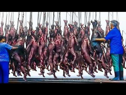 Procesos de Producción Que Te Ponen los Pelos de Punta!