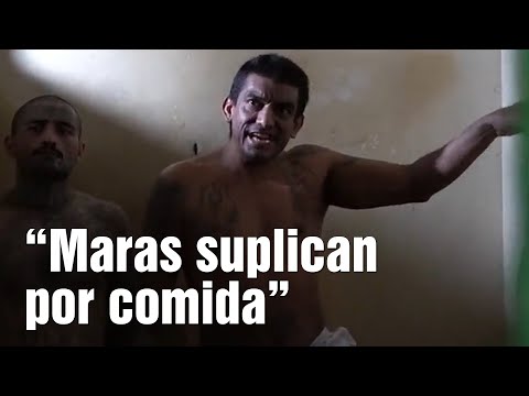 Maras encarcelados en El Salvador claman por comida
