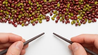 Sorted 10.000 Beans 🫘🫛 Oddly Satisfying ASMR | Extreme Bean Sorting Challenge