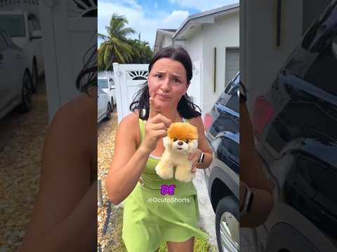 Rescaté a un lindo cachorrito 🐶🚙