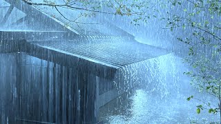 Relief From Insomnia with Loud Thunder & Torrential Rain Sounds on Old Tin Roof in Deep Rainforest