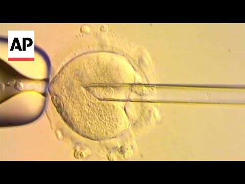 YouTube video thumbnail:  8 Healthy Babies Born After Scientists use DNA From 3 People to Avoid Genetic Disease 