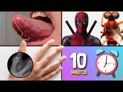 30 COISAS QUE VOCÊ NÃO SABIA EM 10 MINUTOS ⏰🤨[215]