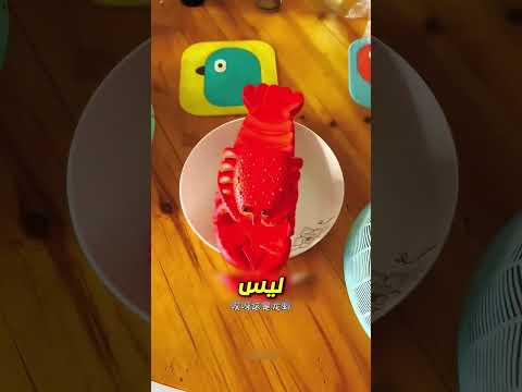 أخفت حذاءها الرياضي… وهو فعل هذا 😢