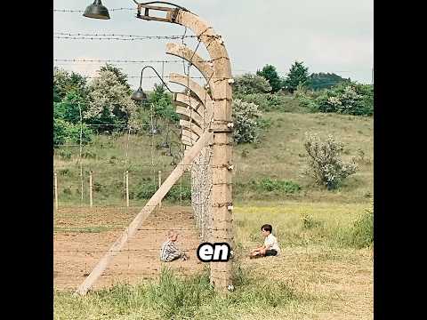 Wearing the Striped Pajamas, We Are One!#peliculas #películaexplicada #serie