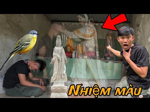 3 Video Đặc Biệt Lộc Rơi Nước Mắt Về Điềm Báo Linh Thiên Đầy Kỳ Diệu|Phim Ma