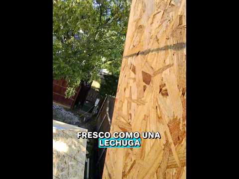 Ahora si me sorprendió mi ayudante